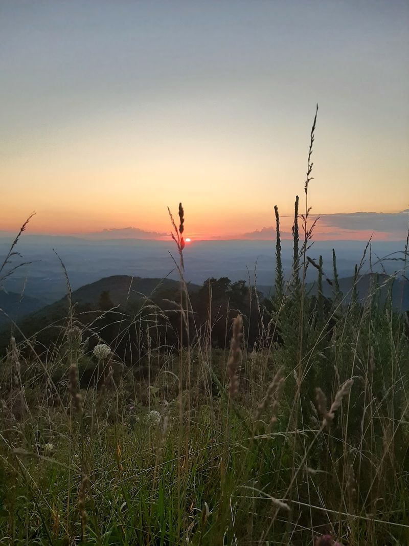 Turk Mountain - Stanardsville, Greene County,