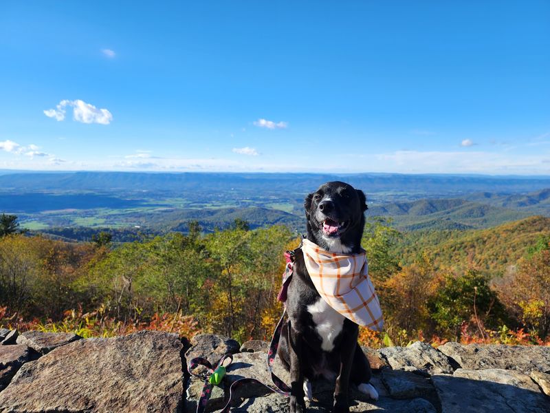 Stony Man Summit - Luray, Page County,