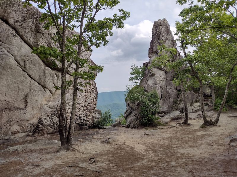 Dragon's Tooth - Catawba