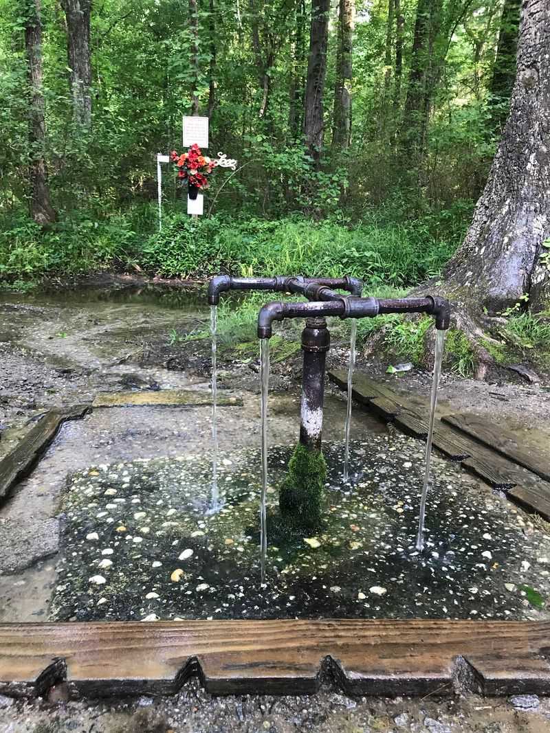 Respectful Visiting Keeps the Spring Special