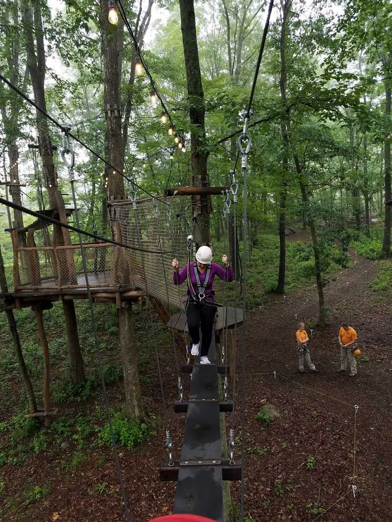 A Forest Playground With Real Altitude