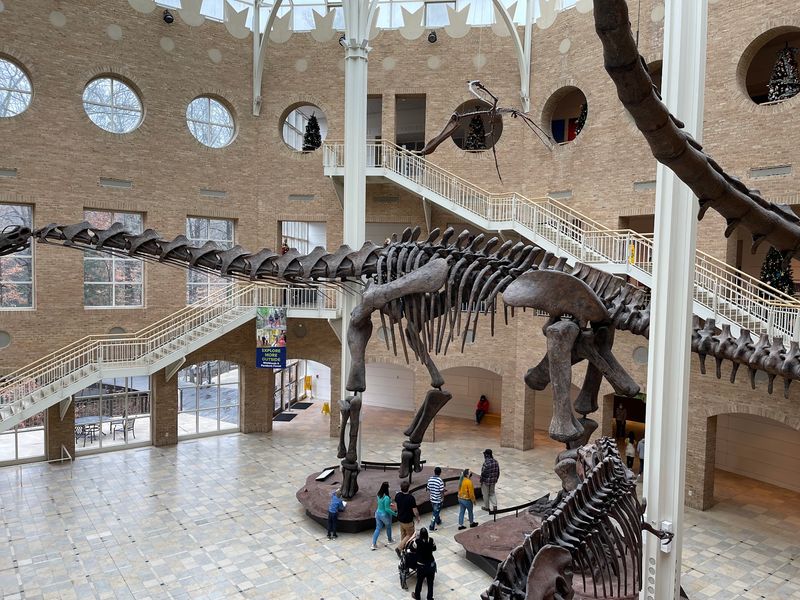 Fernbank Museum of Natural History - Atlanta