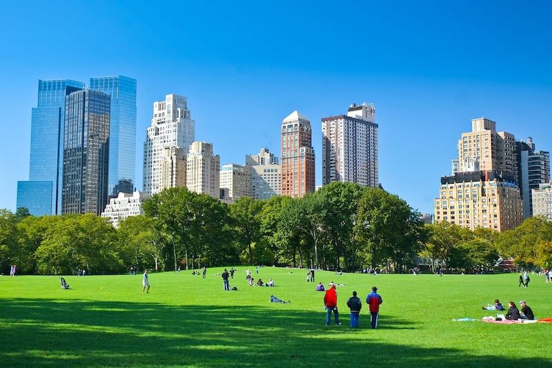 Classic Lawn Time in Central Park