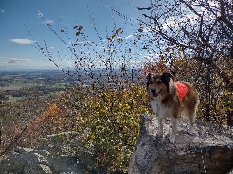 Bake Oven Knob, Germansville, Lehigh County