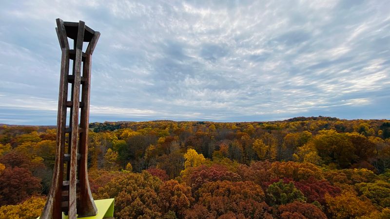 Kalberer Emergent Tower - Kirtland