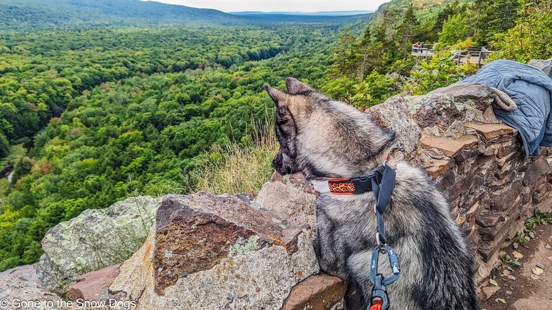 Escarpment Trail