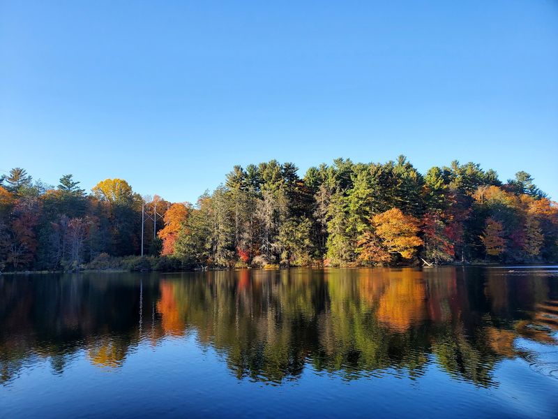 Start at the Pond That Powered a Big Idea