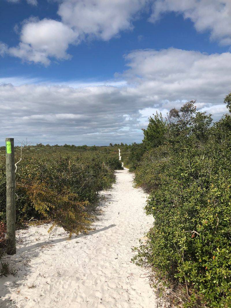 Jonathan Dickinson State Park - Hobe Sound