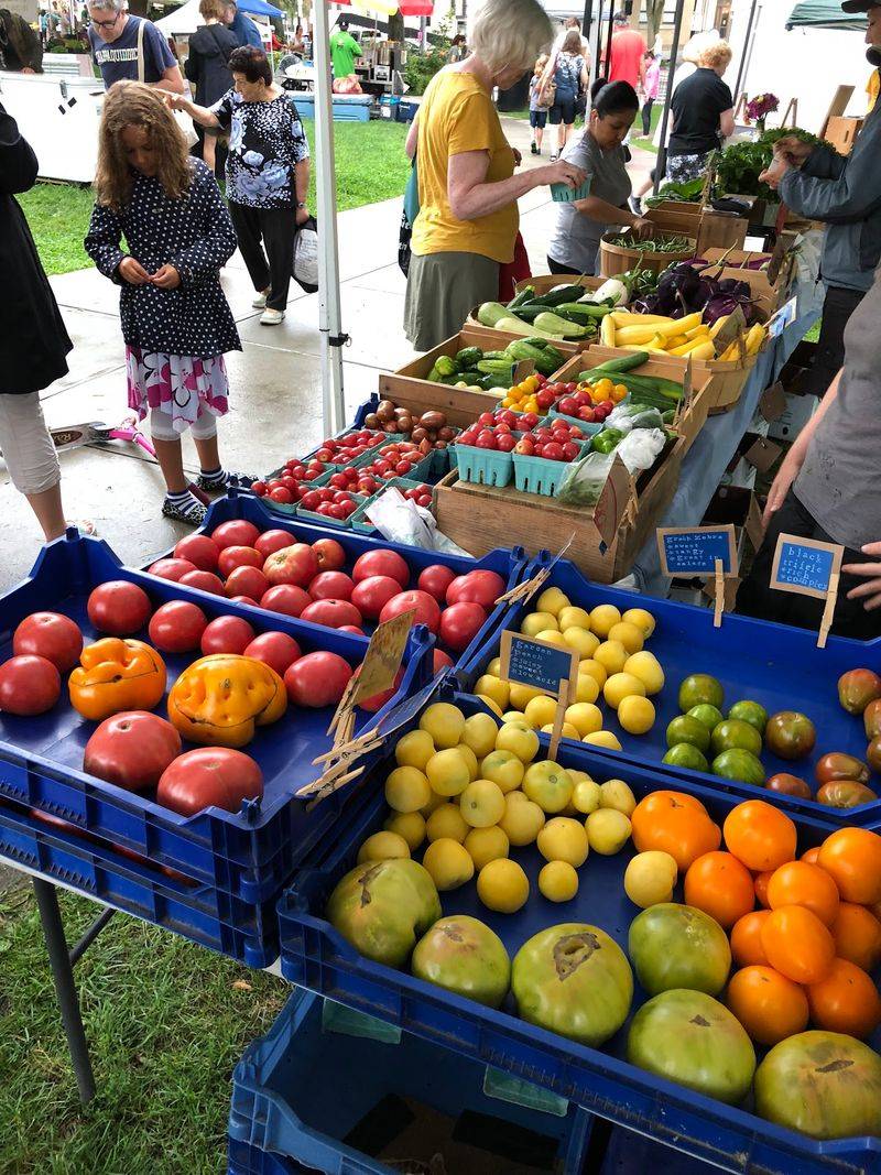 Roslindale Farmers Market - Boston