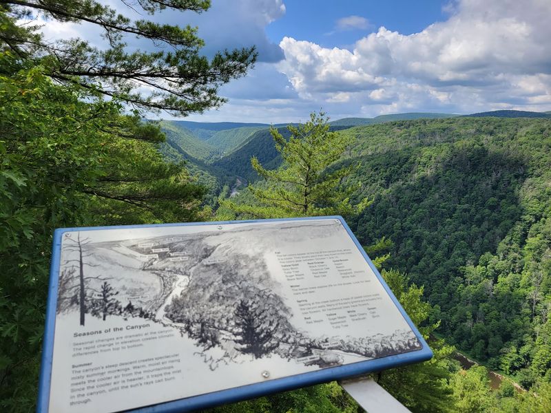 Pennsylvania Grand Canyon Overlook Tower
