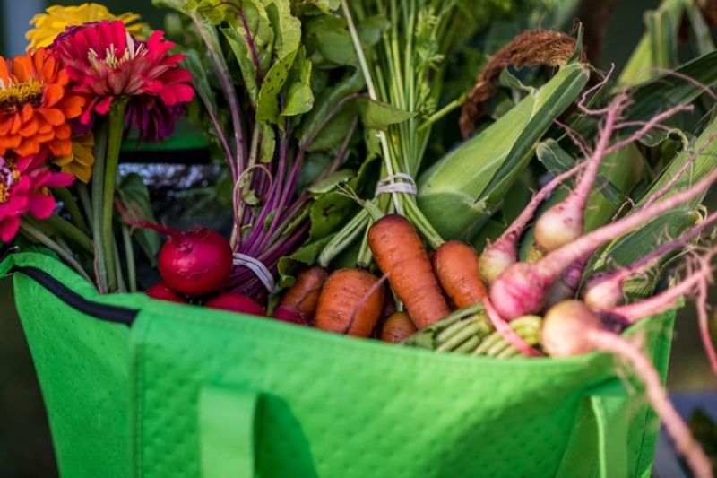 Farmers Market at Sea Colony
