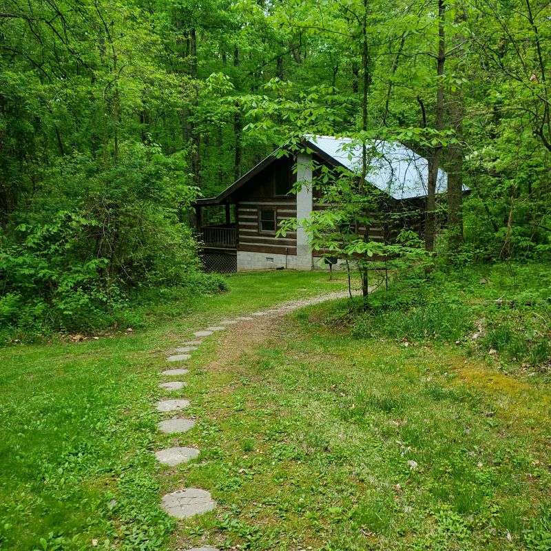 Cabins in the Pines - Logan