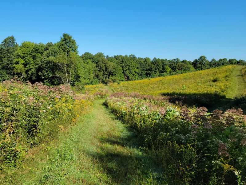 Cuyahoga Valley National Park - A Picnic Escape Between Cleveland And Akron