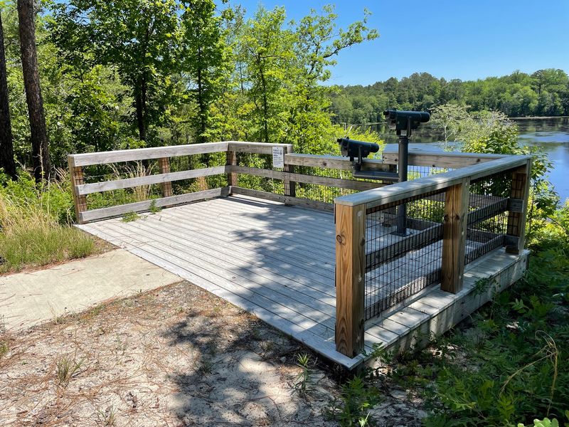 Observation Deck - Tates Tower Trail