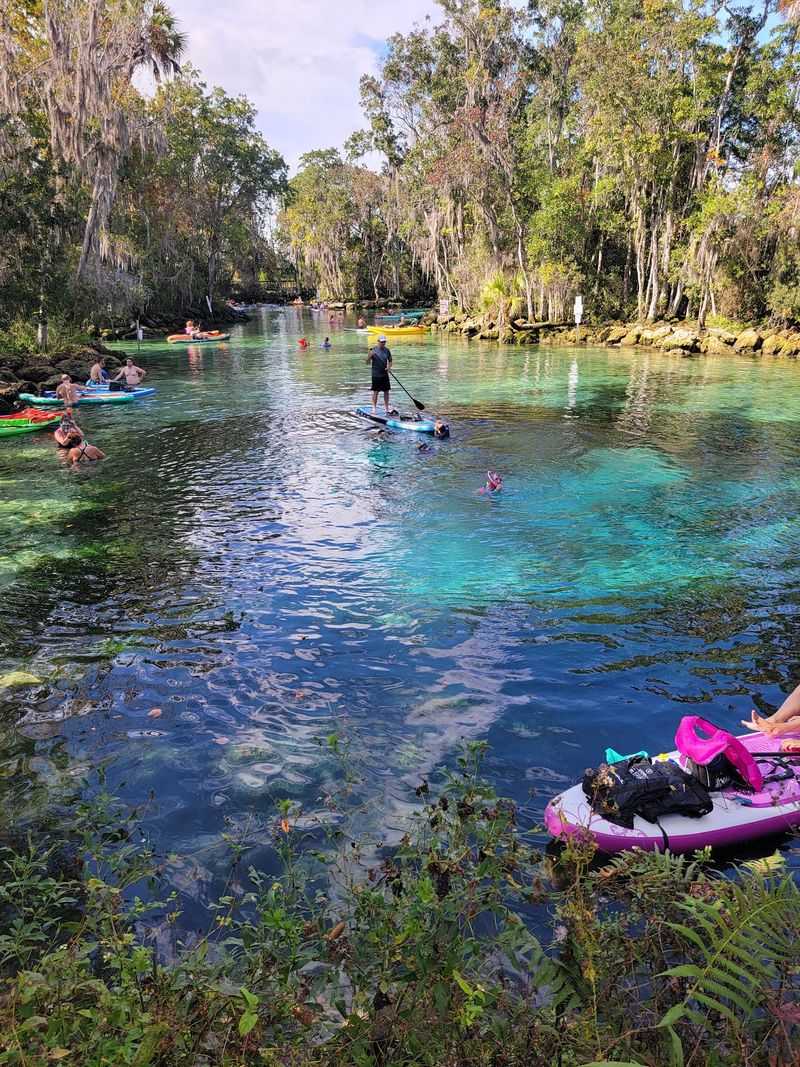 Crystal River - Crystal River
