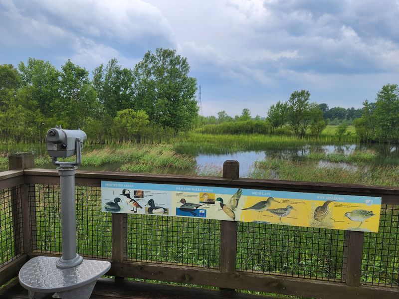 Observation Tower - Plain City