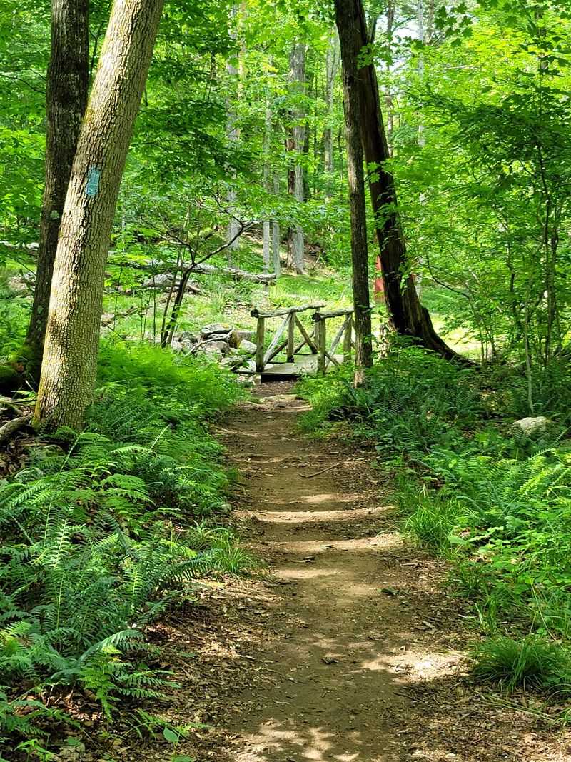 Macedonia Brook State Park Cabins, Kent, Litchfield County