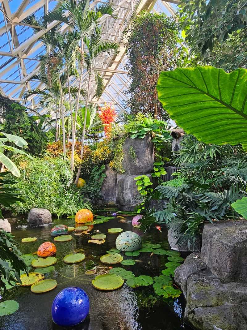 Inside Blooms & Butterflies: A Tropical World In Ohio