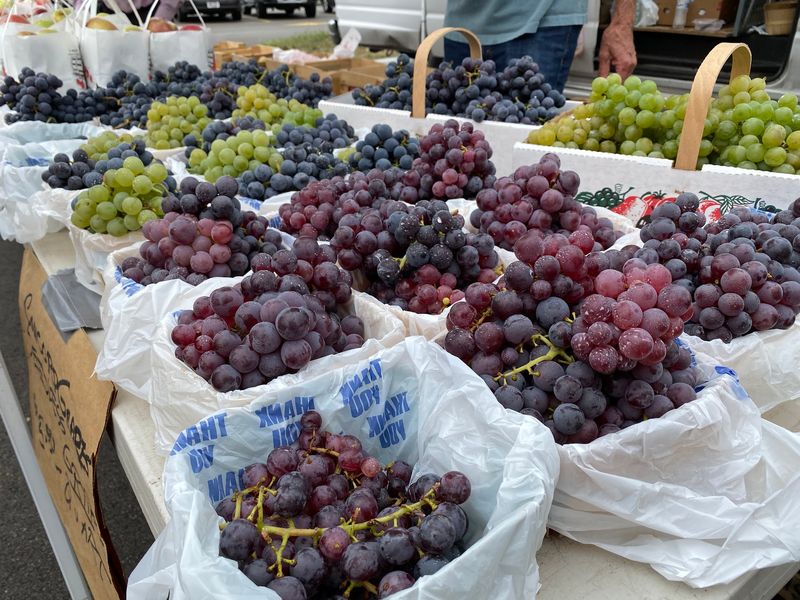 Kamm's Corners Farmers Market, Cleveland