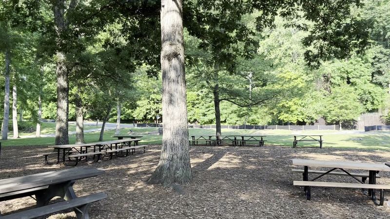 Great Falls Park