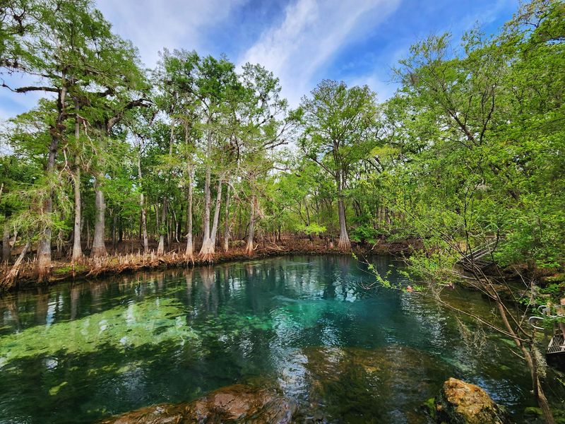 Follow The River To Manatee Springs