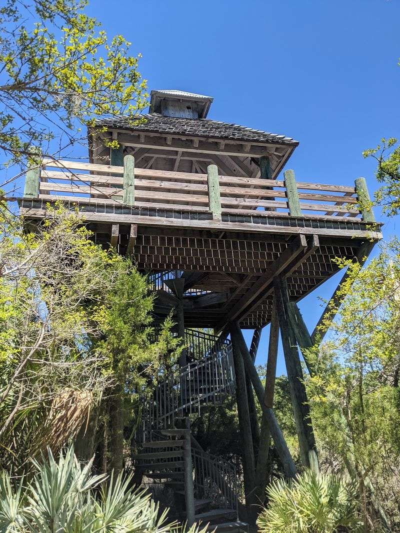 Blue Heron Pond Observation Tower