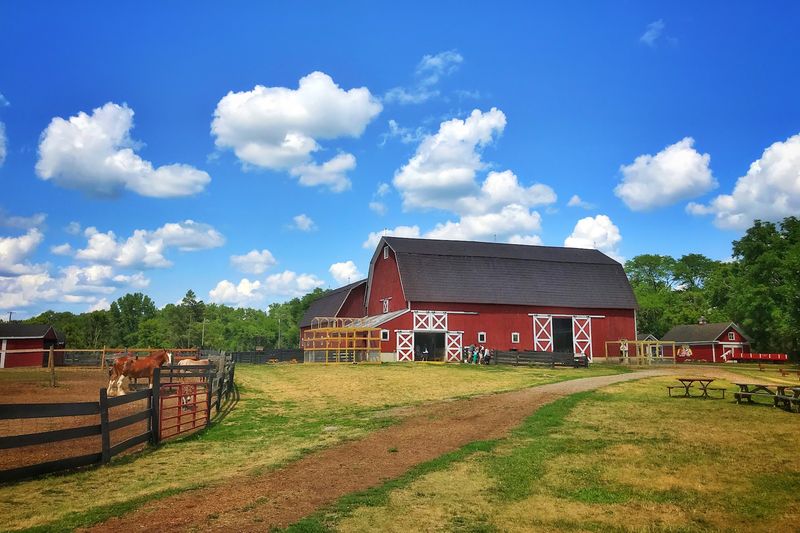 Maybury Farm - Milford, Oakland County,