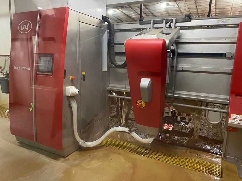 Cinnamon Ridge Farms Dairy Tours - Donahue