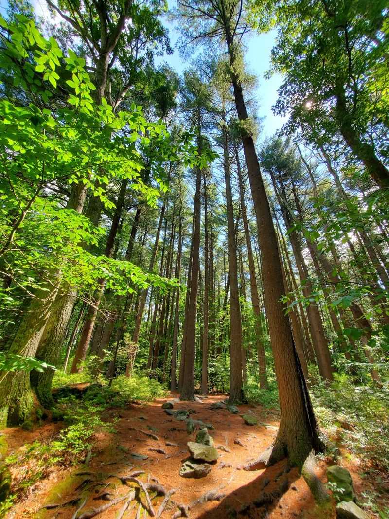 Broadmoor Wildlife Sanctuary, Natick, Middlesex County