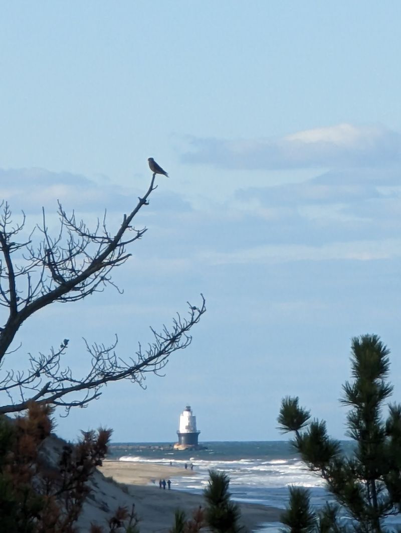 Cape Henlopen State Park