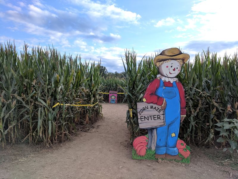 Uncle Shucks Corn Maze, Dawsonville, Dawson County