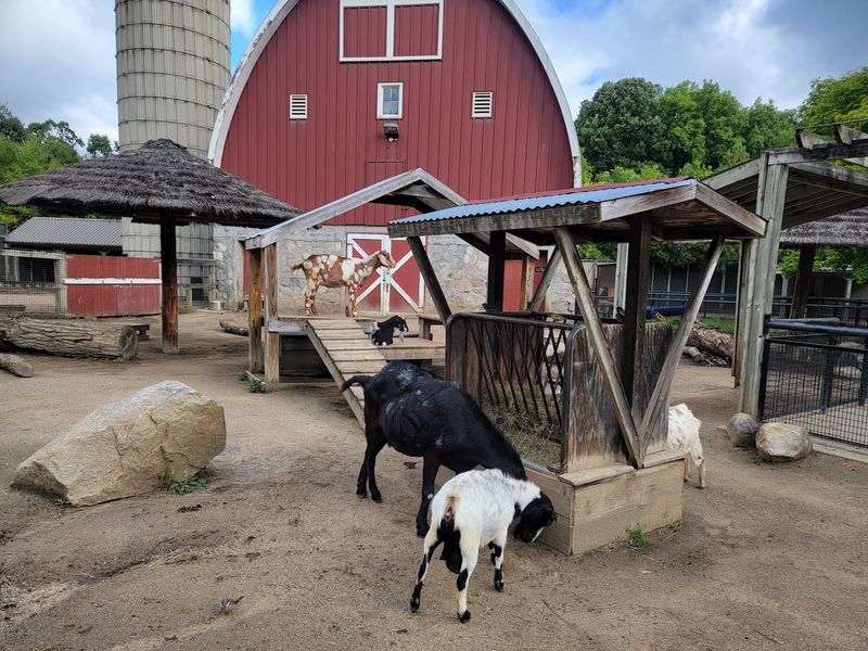 Potter Park Zoo - Lansing, Ingham County,