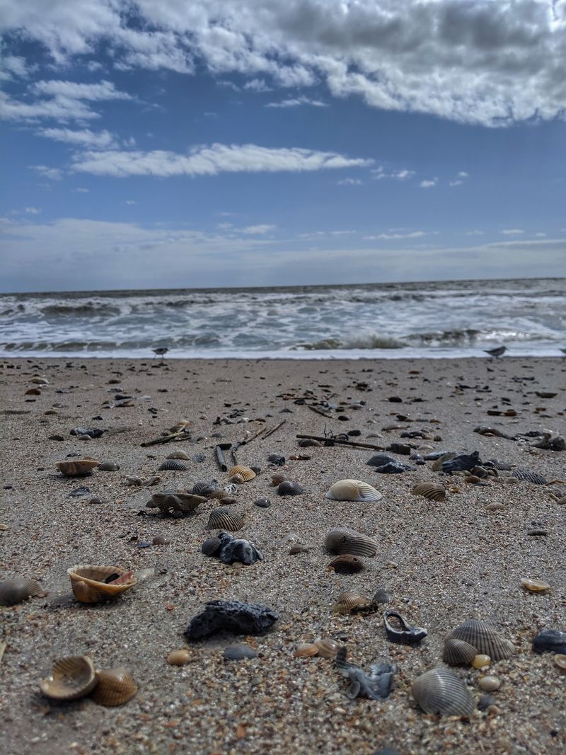 Amelia Island Dog Beach, Fernandina Beach, Nassau County