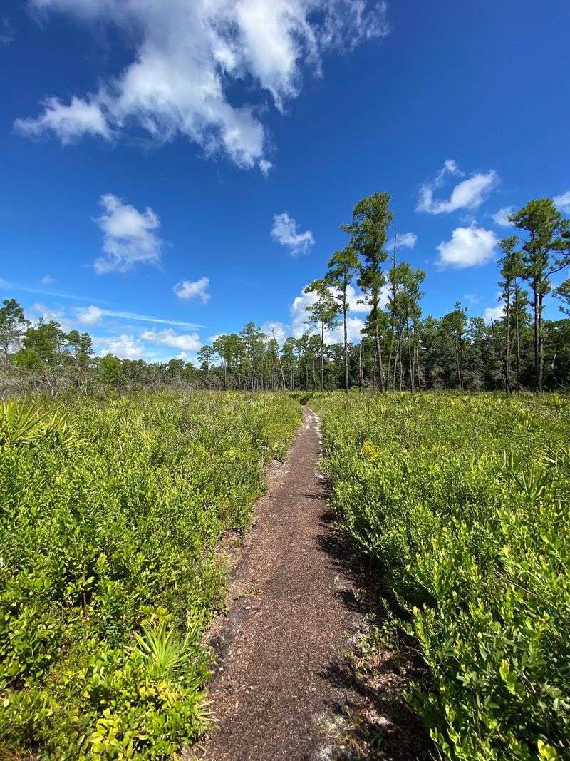 Wekiwa Springs State Park - Apopka