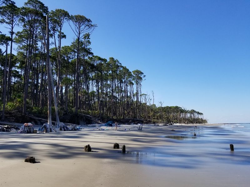 Hunting Island State Park