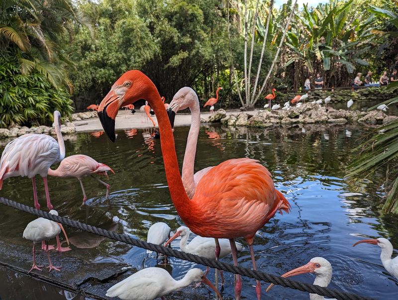 Flamingo Gardens - Davie