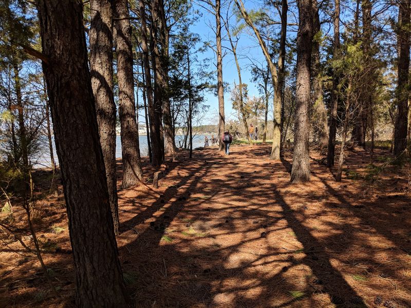 Trails That Keep Things Easy and Scenic