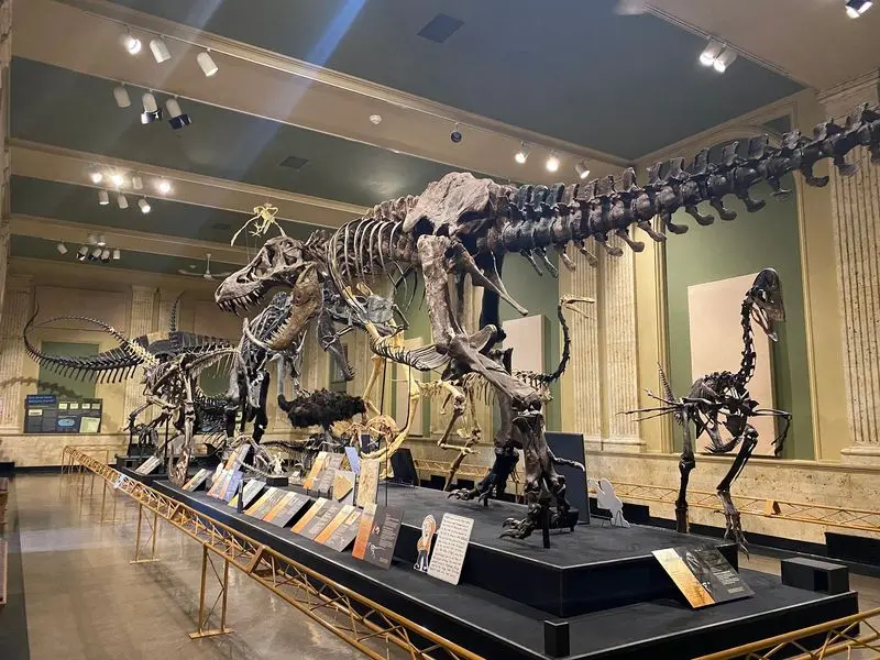 Giants with Feathers in the Family Tree