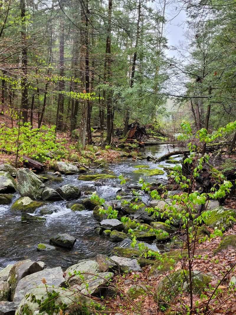 Burr Pond State Park Cabins, Torrington, Litchfield County