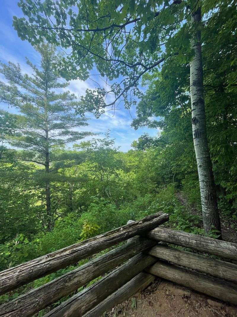 Taylor Hollow Overlook - Ontario