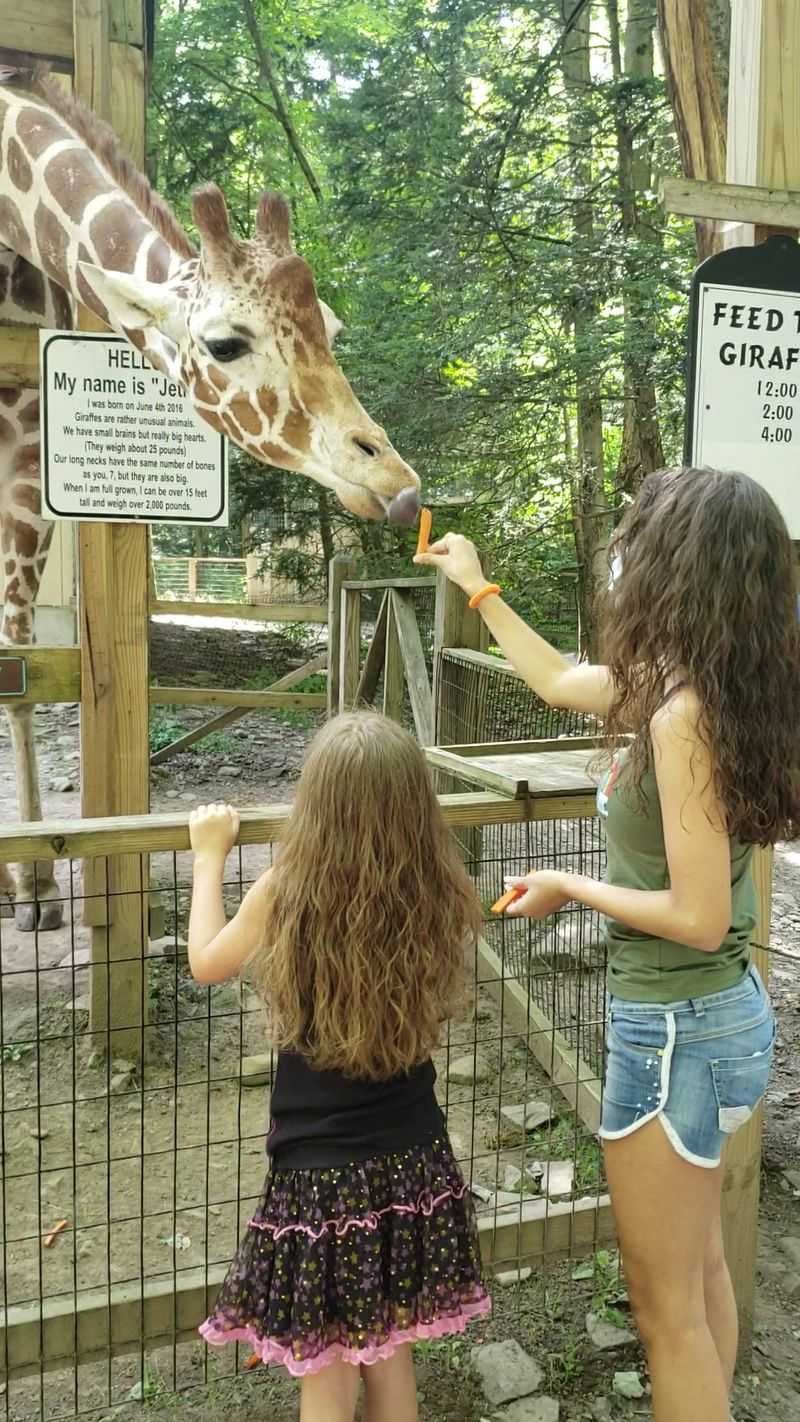 Claws 'N' Paws Wild Animal Park