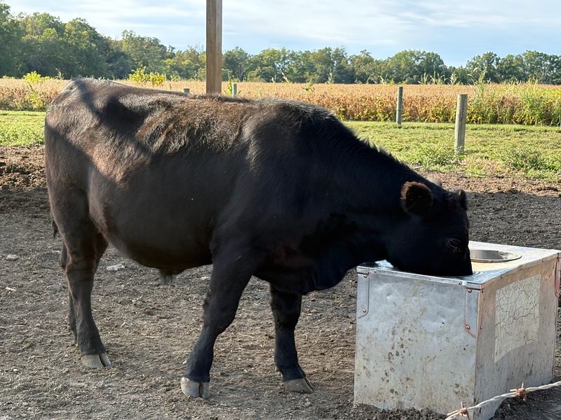 A Practical Outing That Supports Local Agriculture
