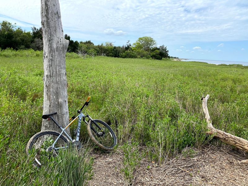 Bikes Make the Journey Easier and More Fun