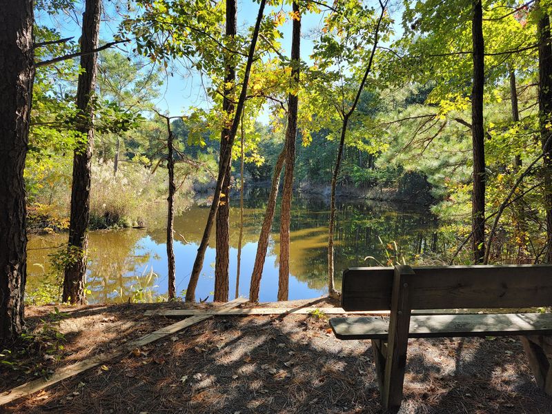Holts Landing State Park, Dagsboro, Sussex County