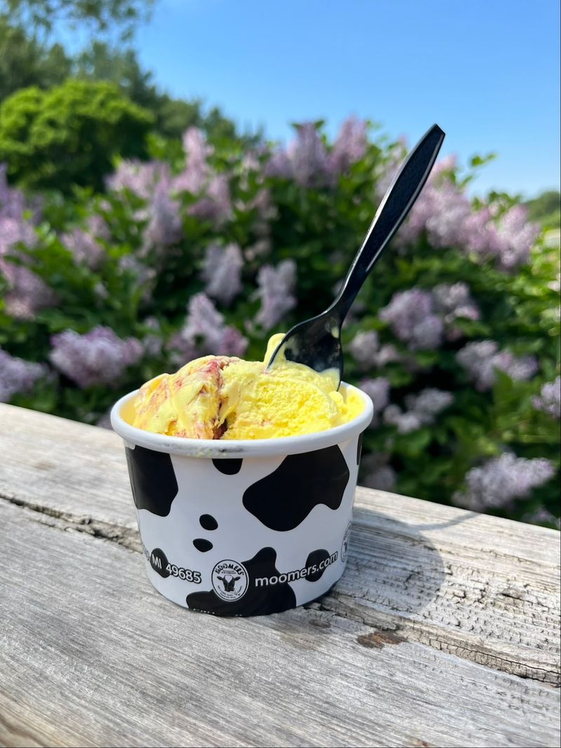 Moomers Homemade Ice Cream, Traverse City, Grand Traverse County