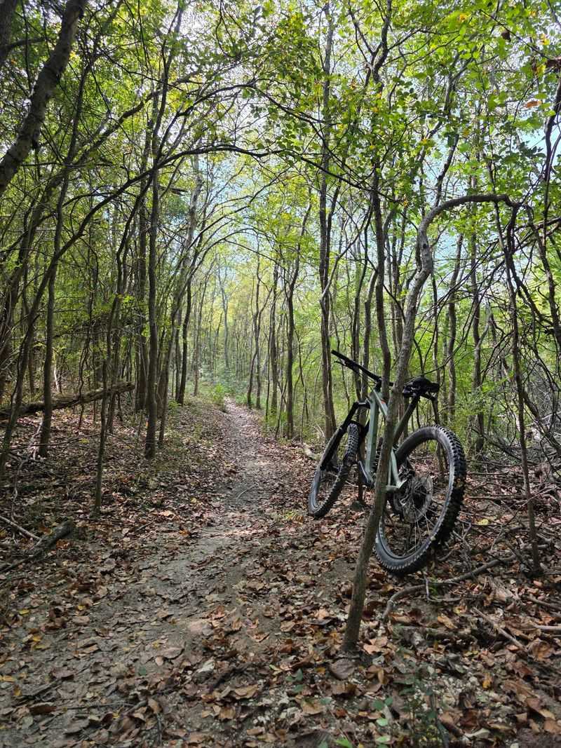 Isle du Bois DORBA Bike Trail - Pilot Point