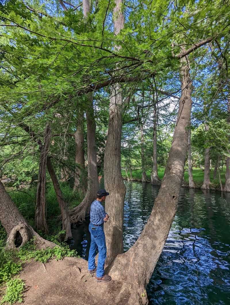 Blue Hole Wimberley, Wimberley, Hays County