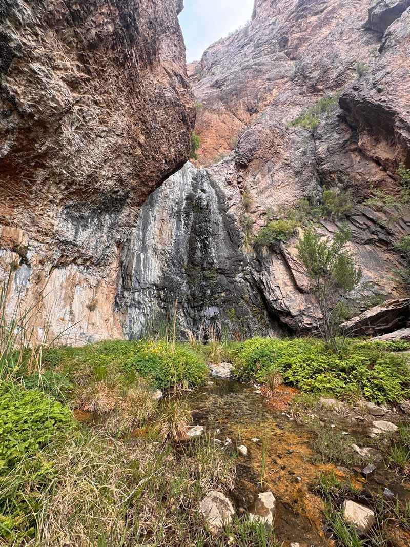 Cattail Falls, Big Bend National Park, Brewster County