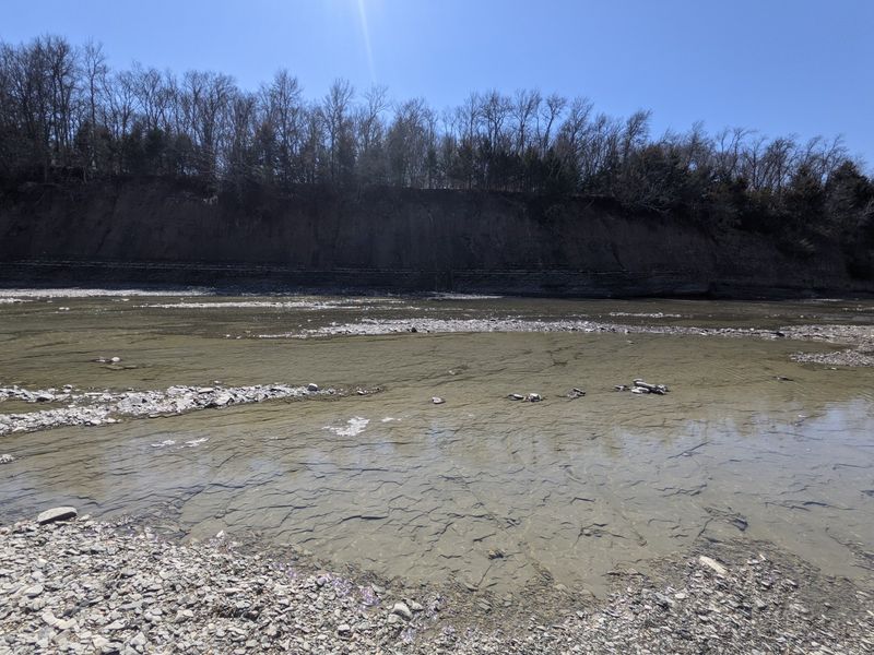 North Sulphur River - Ladonia