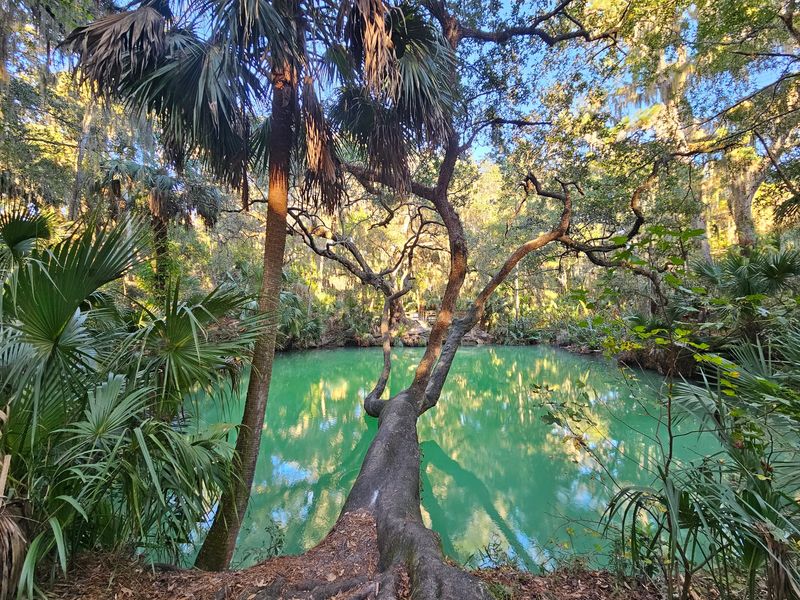 Green Springs Park - Enterprise